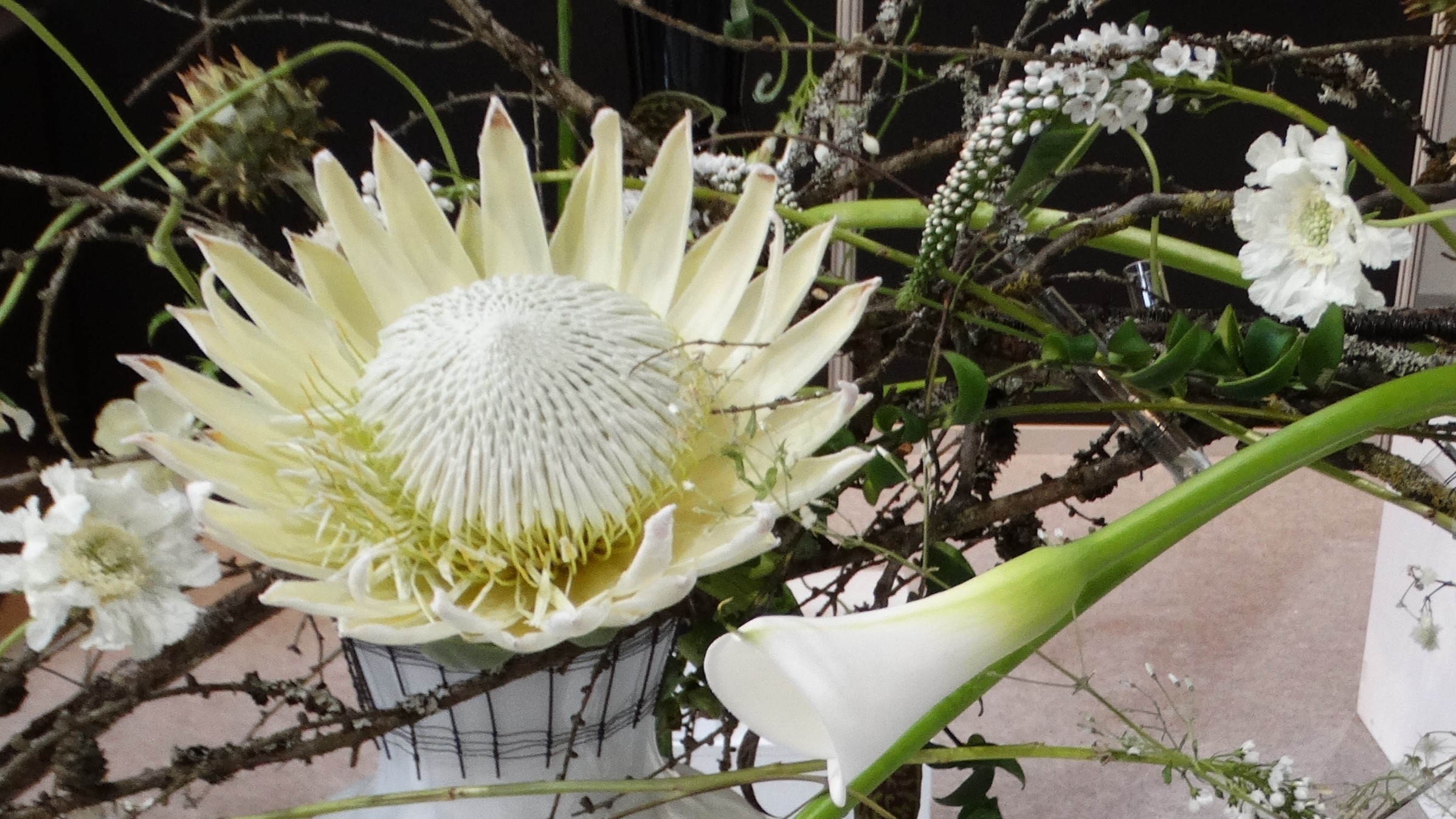 2026 trendszíne: a Felhőtáncos